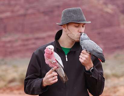 The Power of Parrots
