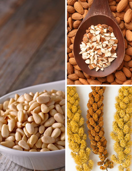 Bird Treats for Training Finding Yours