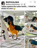 FEATHERAPY Spray Bottle