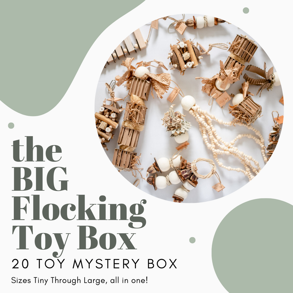 The BIG Flocking Toy Box