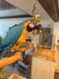 Organic Birdie Bread Bundles