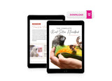 The Complete Bird-Sitter Handbook
