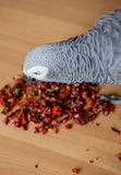 Summer Freeze Dried Seasonal Feeding System