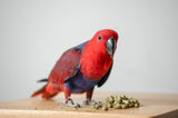 Organic Parrot Pellets (25lbs)