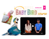 The Baby Bird Course