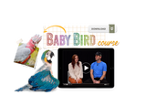The Baby Bird Course