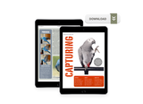 A Quick Guide To Capturing