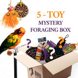 Foraging Toy Box (Bundle of 5)