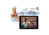 Freedom of Flight