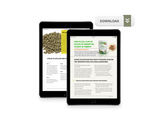 Guide For Introducing Our Pellets to Your Bird