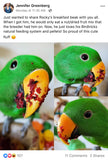 Natural Feeding System (In Print)