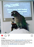 Family Friendly Parrot Formula 2