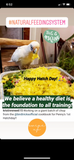 The Parrot Natural Nutrition Course