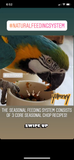 The Parrot Natural Nutrition Course