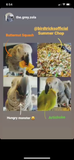 The Parrot Natural Nutrition Course