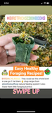The Parrot Natural Nutrition Course