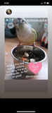 The Parrot Natural Nutrition Course
