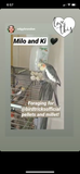 The Parrot Natural Nutrition Course