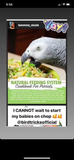 The Parrot Natural Nutrition Course