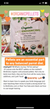 The Parrot Natural Nutrition Course