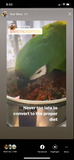The Parrot Natural Nutrition Course