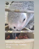Natural Feeding System (In Print)