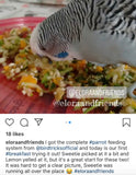 Natural Feeding System (In Print)