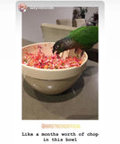 Natural Feeding System (In Print)
