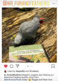 Natural Feeding System (In Print)