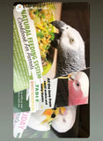 Natural Feeding System (In Print)