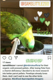 Natural Feeding System (Digital Download)