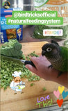 Natural Feeding System (In Print)