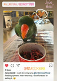 Natural Feeding System (In Print)