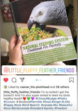 Natural Feeding System (In Print)
