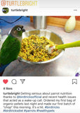 Natural Feeding System (Digital Download)