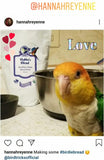 Organic Birdie Bread Bundles