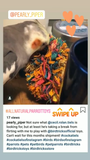 Premium All-Natural Parrot Toys (Bundle of 3)