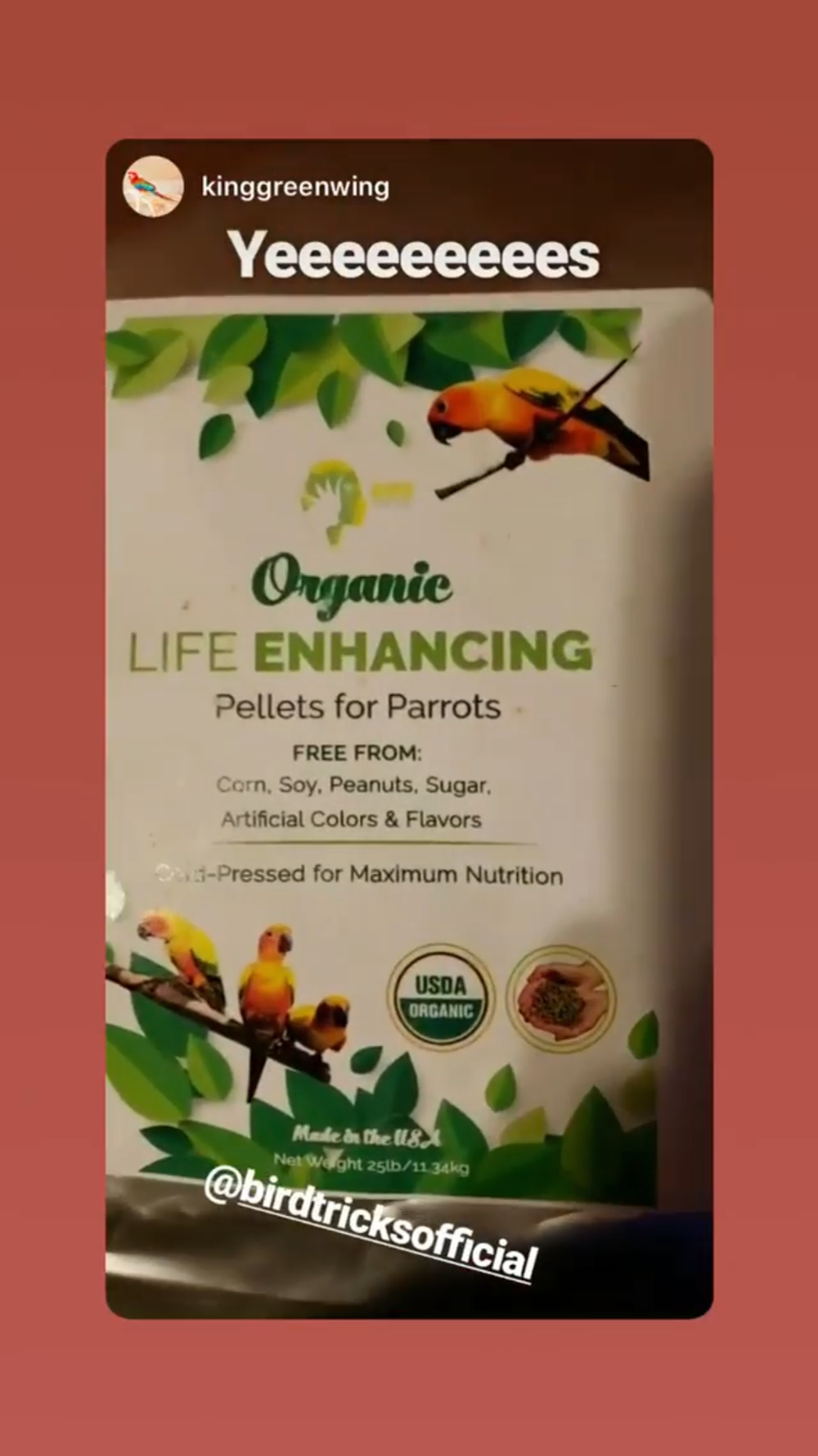 Organic Parrot Pellets (4lbs)