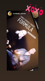Family Friendly Parrot Formula
