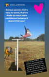 Training Stand