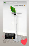 Training Stand