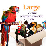 Foraging Toy Box (Bundle of 5)