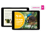 How to Forage: A Tips and Tricks Guide