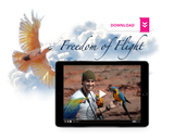 Freedom of Flight