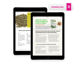 Guide For Introducing Our Pellets to Your Bird