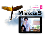 BirdTricks Training Course | The Complete Collection