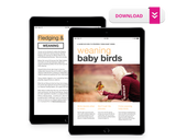 A Guide to Weaning Baby Birds