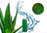 FEATHERAPY Aloe Bundle