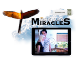One Day Miracles