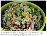 Natural Feeding System (In Print)